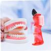 Beaupretty 3Pcs Multi Functional Brush for Oral Care Ergonomic Cleaning Tool for Maintenance view 3