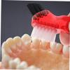 Beaupretty 3Pcs Multi Functional Brush for Oral Care Ergonomic Cleaning Tool for Maintenance view 4