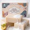 AURA NEST Natural Dish Soap Bar, Cleaning Dishes Solid Block for Kitchen - Organic Biodegradable Dishwashing, only 5 Ingredients, Gentle on Hands - Citrus Scent (3 Pack, 19oz) view 1