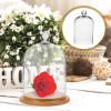Glass Dome Cover Transparent Flower Holder Display Dome with Base for Preserved Flowers Eternal Rose Dustproof Cloche Jar for Home Decor Gift Packing 5.90 X 3.34 X 3.34 in view 3