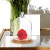 Glass Dome Cover Transparent Flower Holder Display Dome with Base for Preserved Flowers Eternal Rose Dustproof Cloche Jar for Home Decor Gift Packing 5.90 X 3.34 X 3.34 in view 4