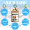 Brothers Nuts Garlic Salty Walnuts Organic, Sprouted Walnuts Healthy Keto Snack Vegan, Gluten-Free, Kosher No Preservatives 2 oz (Pack of 10) view 4