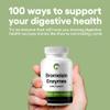 Bromelain Supplement 240 Tablets Natural Enzymes 100mg 2400 GDU/g Gluten Free Non-GMO Vegan (240, Bromelain) view 2