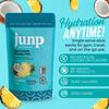 JUNP Sugar Free Electrolytes Powder Packets for Water Instant Hydration Packets with Salt & Potassium, Zero Calorie, No Carbs No Sugar Electrolyte Drink Mix Sticks, Keto Friendly, Pina Colada 5 Pack view 2