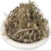 100gm Gule BANAFSHA, GUL BANAFSHA - Viola ODORATA Sweet Violet view 1