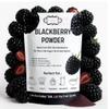Confect Blackberry Powder | Pure & Natural Fruit Powder for Smoothies, Baking, Beverages, Juices, Tea & DIY Recipes | Vegan, Gluten-Free, No Added Sugar 3.5 OZ view 1