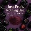 Confect Blackberry Powder | Pure & Natural Fruit Powder for Smoothies, Baking, Beverages, Juices, Tea & DIY Recipes | Vegan, Gluten-Free, No Added Sugar 3.5 OZ view 2