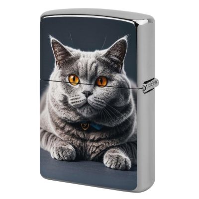 A Gray Cat is Lying Lighter Case Double-Sided Graffiti Lighter Holder - Metal Lighters Protective Cover, Universal Fit for Standard Lighters, Stylish Gift for Men & Women