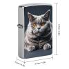 A Gray Cat is Lying Lighter Case Double-Sided Graffiti Lighter Holder - Metal Lighters Protective Cover, Universal Fit for Standard Lighters, Stylish Gift for Men & Women view 2