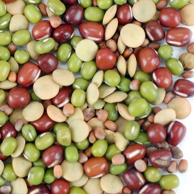 Organic Bean Salad Sprouting 8 Oz ~8,000 Seed Mix Non-GMO, High Germination Adzuki, Mung, Green Lentil, Daikon Radish Crunchy, Nutty Sprouts in 24 Days 1,000 Seeds/Oz Bulk Available