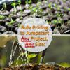 Organic Bean Salad Sprouting 8 Oz ~8,000 Seed Mix Non-GMO, High Germination Adzuki, Mung, Green Lentil, Daikon Radish Crunchy, Nutty Sprouts in 24 Days 1,000 Seeds/Oz Bulk Available view 3