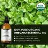 Organic Oregano Essential Oil 100% Pure Steam Distilled | Origanum vulgare from Spain | Natural Aromatherapy Oil for Diffuser, Skin (Diluted), Wellness & Cooking | Therapeutic Grade | 1 Fl Oz view 4