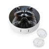Cute Raccoon Eating Contact Lens Case Box Holder Container Daily Contact Lens Organizer for Travel Daliy Use view 1