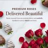 Sharis Berries 12 Classic Red Roses & 6 Chocolate Covered Strawberries Gift Set | Chocolate & Fresh Flower Gift Box | Mother's Day, Anniversary, Celebrations & Thank Yous view 4