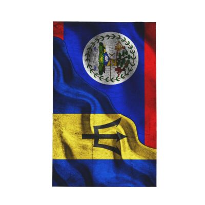 Belizean Flag Belizean Flag Premium Waffle Kitchen Towel Microfiber Kitchen Towels, Super Absorbent 16 X 26 Inches Reusable Dish Towels for Kitchen and Household