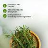 100% Natural Dried Rosemary Leaves, 100g Premium Culinary Herb for Cooking, Seasoning, Herbal Tea, Skincare, Hair Care & Aromatherapy | Resealable Freshness Jar view 3