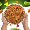 Jalapeo Pretzel Pieces | 1 Pound Bag | Bold Flavored, Dye Free, Spicy Jalapeo Snacks | No Artificial Flavors | Hearty, Savory Seasoned Pretzel Bites view 4
