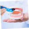 BCOATH 1Set Portable Denture Box with Cleaning Brush Denture Storage Case with Mirror Durable for Safe Travel and Easy Cleaning Elders view 3