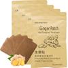 100 Count Ginger Self-Heating Patches | Long-Lasting Comfort for Back, Neck, Shoulders, Knees & Joints | 8-Hour Herbal Warming Pads (12x8cm) view 1