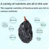 Dehydrated Dried Blackcurrants - Large-sized Black currants, No Added Sweeteners | Resealable Packaging for Snacks & Recipes | Ideal for Outdoor Activities, Baking & Lunches | Dried Fruit (200 g) view 4