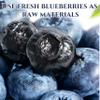 Dehydrated Dried Blueberries | Wholesome Fruit Snacks | No Added Sweeteners & Plant-Based | Resealable Jar | Ideal for Outdoor Activities, Baking & Lunches | Diet-Friendly (200 g) view 2