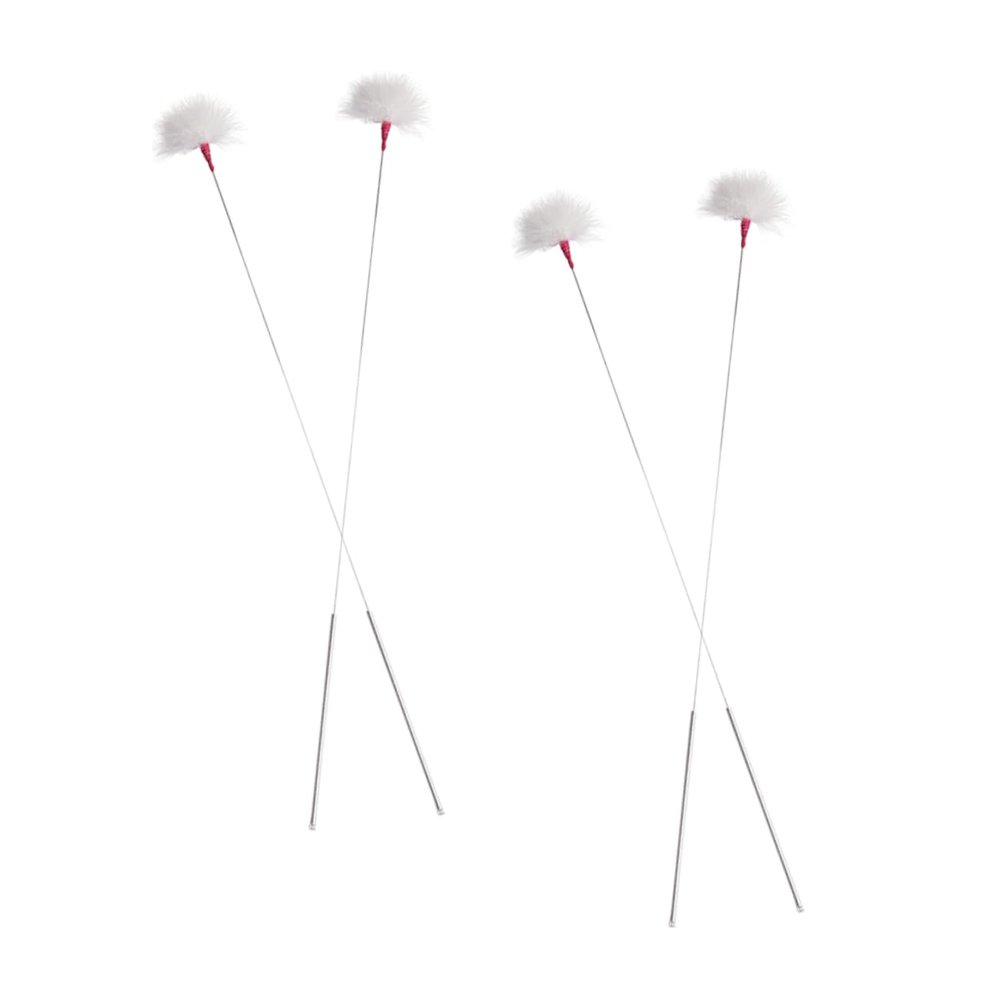 BAZEITFLOW Ear Cleaning Tools 4pcs Professional Earwax Removal Kit Comfortable Ear Picks for Random Color