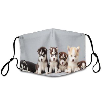 Fashion Balaclava Washable Reusable And Breathable Face Covering With Adjustable Ear Protection Loops For Women And Men Siberian Husky Puppies Dogs Husky
