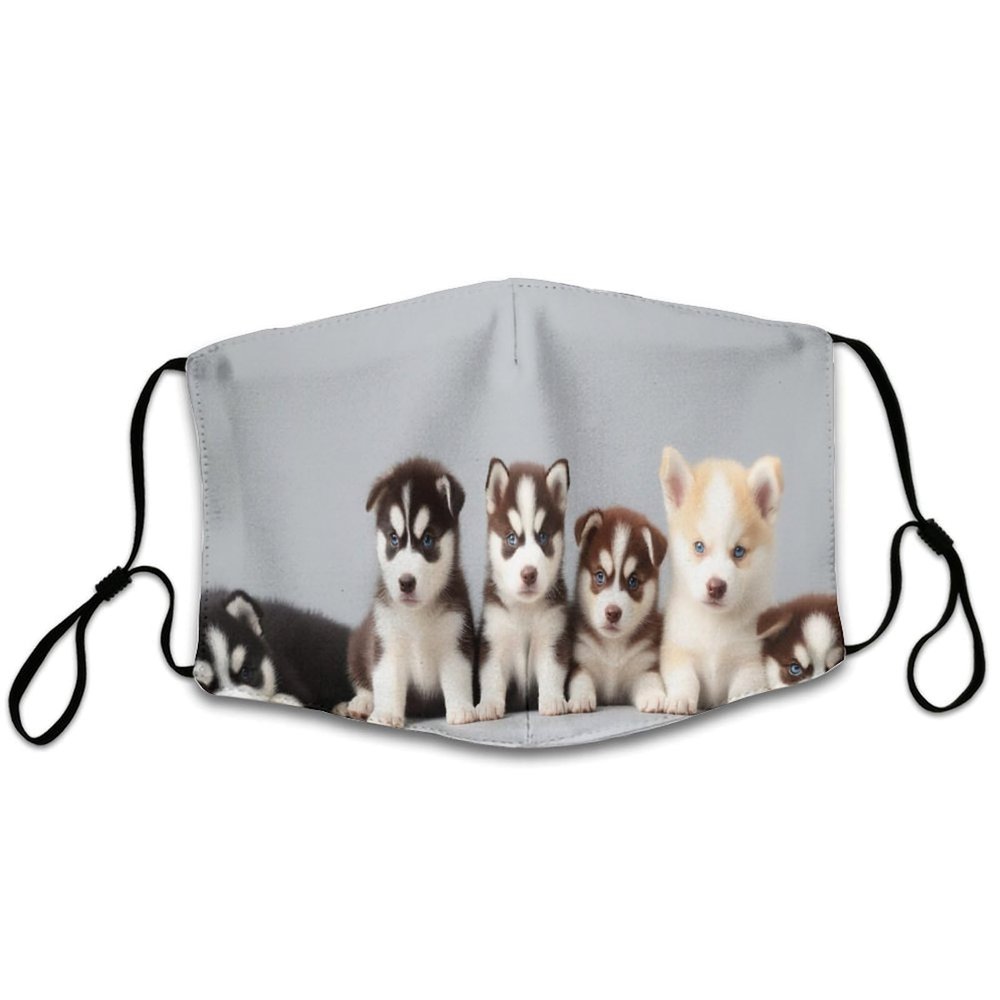 Fashion Balaclava Washable Reusable And Breathable Face Covering With Adjustable Ear Protection Loops For Women And Men Siberian Husky Puppies Dogs Husky