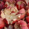 Pomegranate Peel Powder, 100g, Madhulai, Anardana For Face, Skin & Hair, Anar Chilka churn view 3