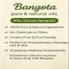 Bangota Babchi (Bakuchi) Essential Oil 100% Pure & Natural | Psoralea Corylifolia (15 ml (0.50 Oz), Babchi) view 3