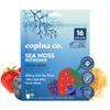 Copina Co. Irish Sea Moss Powder Drink - Super Berry with Organic Blue Spirulina - 200mg Organic Sea Moss for Gut & Skin Health, Immunity - Natural Electrolytes I 16 Stick Packs view 1