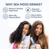 Copina Co. Irish Sea Moss Powder Drink - Super Berry with Organic Blue Spirulina - 200mg Organic Sea Moss for Gut & Skin Health, Immunity - Natural Electrolytes I 16 Stick Packs view 2