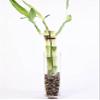 8 in. Contemporary Bamboo Arrangement view 1