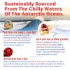 2 Pack Antarctic Krill Oil Omega 3 Softgels 1200mg (Made in USA) W/Phospholipids, Choline & Astaxanthin, Sustainably Sourced of Omega-3s EPA, DHA Support Brain, Antioxidant & Immunity, No Fish Burp view 3