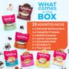 Ruby Jewel Big Sampler Ice Cream Sandwiches Frozen Dessert - 28 Assorted Flavors The Classic, Lemon Lavender, Chocolate Mint, Salted Caramel, Strawberry, Oatmeal Butterscotch, Smores view 2