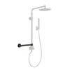 PULSE ShowerSpas Atlantis Assist Bar view 2