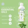 CAPRI ESSENTIALS Dish Soap Liquid, Natural Household Cleaning, Plant Based Aromatic Dish Detergent, Blend of Essential Oils with Almond Oil, Eucalyptus & Peppermint, Sweet Basil, 16 FL Oz (3 Pack) view 2