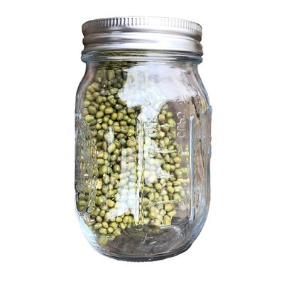 Sprouting Jar With 304 Stainless Steel Screen Lid Wide Mouth Sprouter Germinator For Organic For Alfalfa Mung Bean