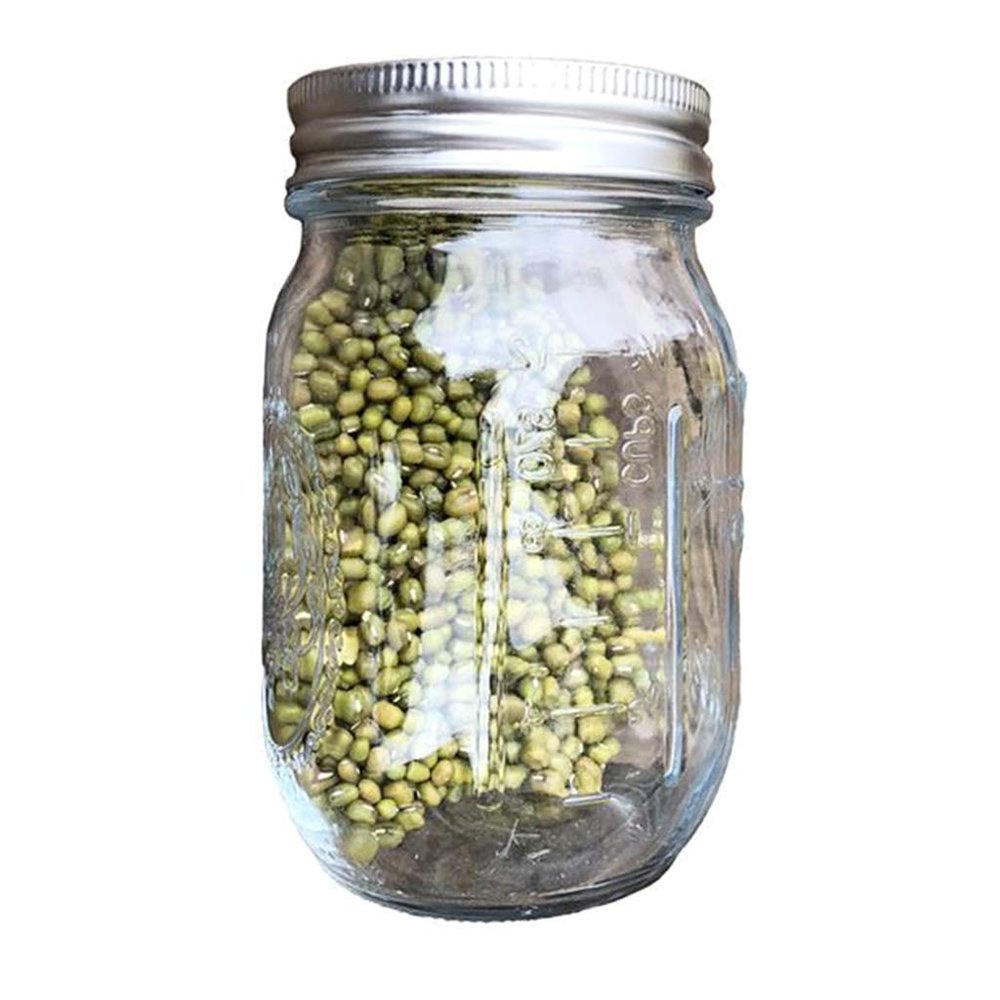 Sprouting Jar With 304 Stainless Steel Screen Lid Wide Mouth Sprouter Germinator For Organic For Alfalfa Mung Bean