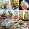 Sprouting Jar With 304 Stainless Steel Screen Lid Wide Mouth Sprouter Germinator For Organic For Alfalfa Mung Bean view 4