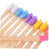 NOLITOY 10pcs Toothbrushes with Soft Bristles Vibrant Hand Painted Wooden Handles for Oral Care Easy to Distinguish Colors Travel Friendly view 3