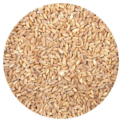 Farro, 2.5 Pound Bulk Bag, Good Source of Dietary Iron, Fiber and Protein, Mediterranean Diet,Salads, Soups