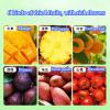 6-flavor Mixed Dried Fruit 520gDried Mango,Raisins,Prunes,Pineapples,Preserved Fruits,Natural Healthy Food,Snack Food,Delicious Chinese Snack Gift (1040G) view 2