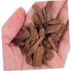 French Oak Chips for Wine Making, 100g Light Toasted Wood Pieces view 4