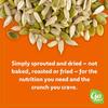 2 Pack Go Raw Organic Sprouted Pumpkin & Sunflower Seeds, 22 oz (2), Sea Salted, Keto, Kosher, Superfood view 3