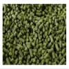 2 Ounce HOPS AU ECLIPSE 2oz Australian High Alpha 17.8% AA Hop Pellets For Brewing that West Coast IPA Vibe or SMaSH Pale Ale view 2