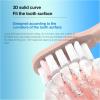 Electric Toothbrush Accessory Toothbrush Head. Compatible for SUBORT S9 Sonic Electric Toothbrushes(4 White Brush Head) view 3