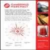 RED MALT 10LB Gambrinus Canadian MARS Whole Grain Uncrushed Malted Barley MGAM7021 view 3