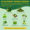 2 PACK Organic Super Greens Daily Superfood Gummies + Probiotics, Spirulina, Chlorella Spinach Broccoli, Prebiotic Fiber, Mushroom -Rich in Vitamins & Antioxidants - Digestive, Focus, Energy, No Sugar view 4