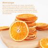 Dried Orange Slices, Dehydrated Orange Slices for Cocktails, 3oz/85g view 2